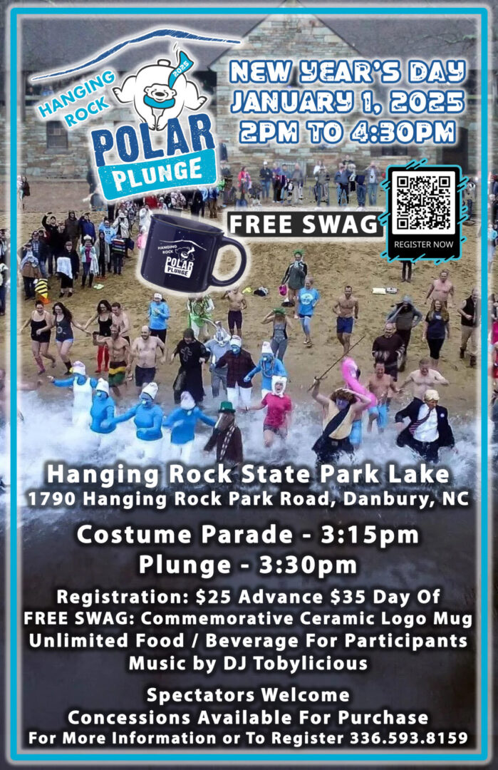 Polar Plunge 2025 Poster